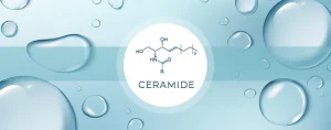 Read more about the article Ceramidok és egészségünk összefüggései